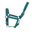 Woof Wear Contour Head Collar Green
